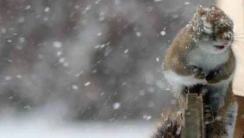 В Кызылординской области объявили штормовое предупреждение