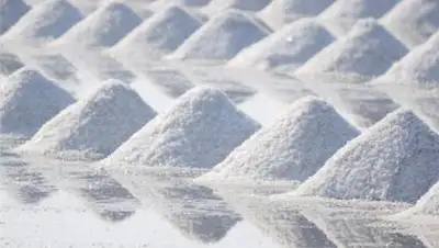 Аралтуз, фото - Новости Zakon.kz от 29.03.2018 19:43