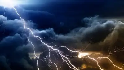 wallbox.ru, фото - Новости Zakon.kz от 22.06.2018 09:23