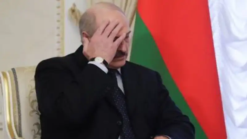 Лукашенко готов провести новые выборы