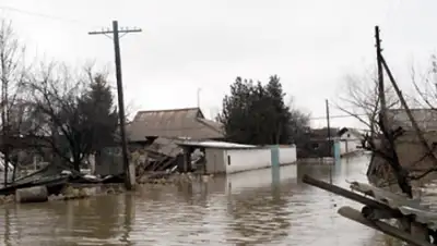 Zakon.kz, фото - Новости Zakon.kz от 01.03.2016 16:37