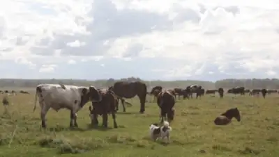 Zakon.kz, фото - Новости Zakon.kz от 09.08.2015 12:11