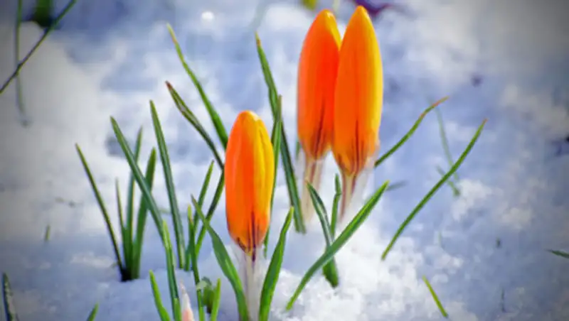 Осадки пройдут на большей части Казахстана во вторник