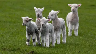 Zakon.kz, фото - Новости Zakon.kz от 15.11.2013 02:49