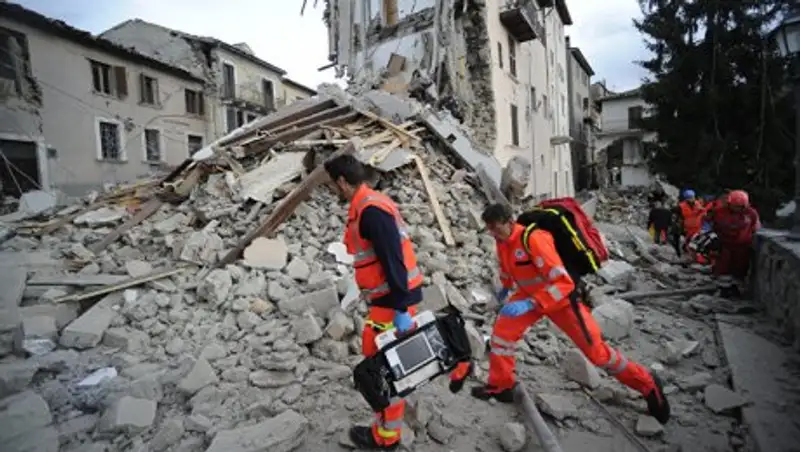 Спустя месяц после землетрясения в Италии из-под руин спасли кота