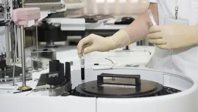 pixabay.com, фото - Новости Zakon.kz от 22.07.2019 13:00