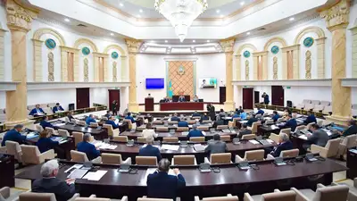 Сенат вернул в Мажилис законопроект "О контроле специфических товаров", фото - Новости Zakon.kz от 08.12.2022 11:33