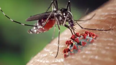 NovostiVolgograda.ru, фото - Новости Zakon.kz от 19.07.2020 01:12