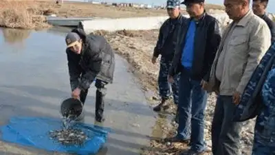 Zakon.kz, фото - Новости Zakon.kz от 16.11.2013 20:34