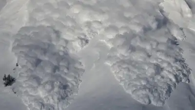 Zakon.kz, фото - Новости Zakon.kz от 03.02.2016 02:12