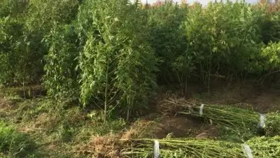 Zakon.kz, фото - Новости Zakon.kz от 28.09.2016 05:39