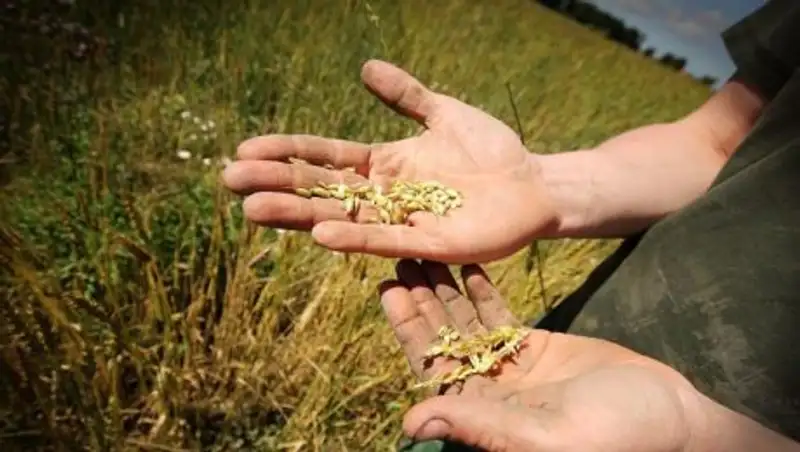 Актюбинские аграрии стали эффективнее работать