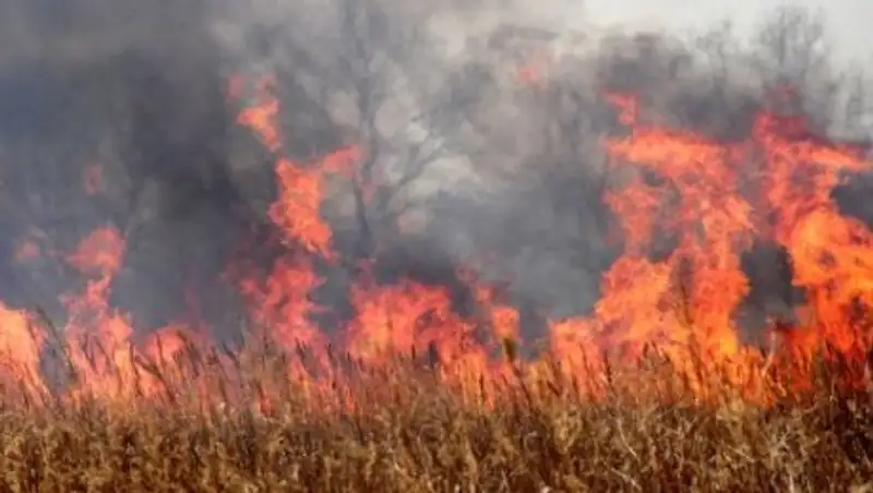 Бердыбек Сапарбаев поручил усилить меры по борьбе с природными пожарами