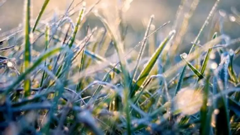 В Казахстане ожидаются заморозки до 2 градусов