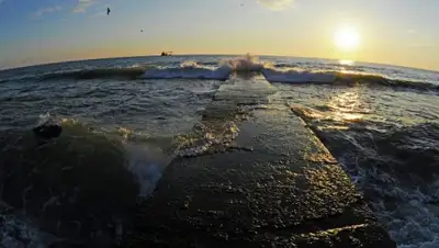 Zakon.kz, фото - Новости Zakon.kz от 19.05.2016 16:45