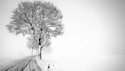 туман, зима , фото - Новости Zakon.kz от 11.01.2022 18:05