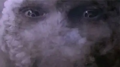 Zakon.kz, фото - Новости Zakon.kz от 08.10.2014 23:21