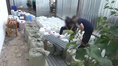 22 кг синтетических наркотиков изъяли у иностранца в Карагандинской области