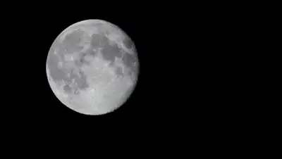 Zakon.kz, фото - Новости Zakon.kz от 19.11.2017 17:27