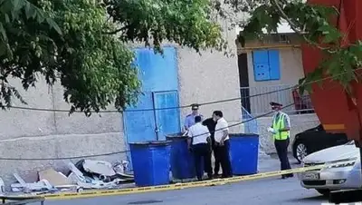 lada.kz, фото - Новости Zakon.kz от 28.07.2018 14:56