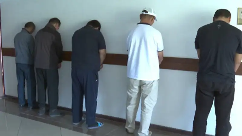 Ущерб в 70 млн тенге нанесла ОПГ в Туркестанской области