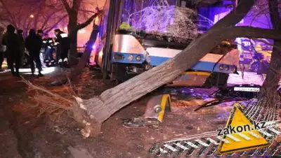 zakon.kz, фото - Новости Zakon.kz от 28.10.2020 14:48