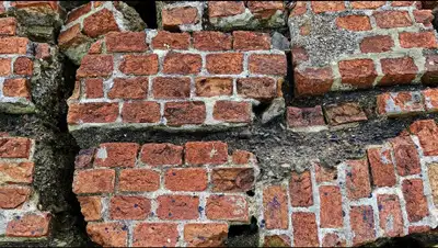 pixabay.com, фото - Новости Zakon.kz от 17.06.2019 23:46