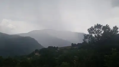 pikabu.ru, фото - Новости Zakon.kz от 26.08.2020 16:55