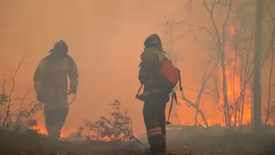 Красноярский край пожар, фото - Новости Zakon.kz от 08.05.2022 08:28