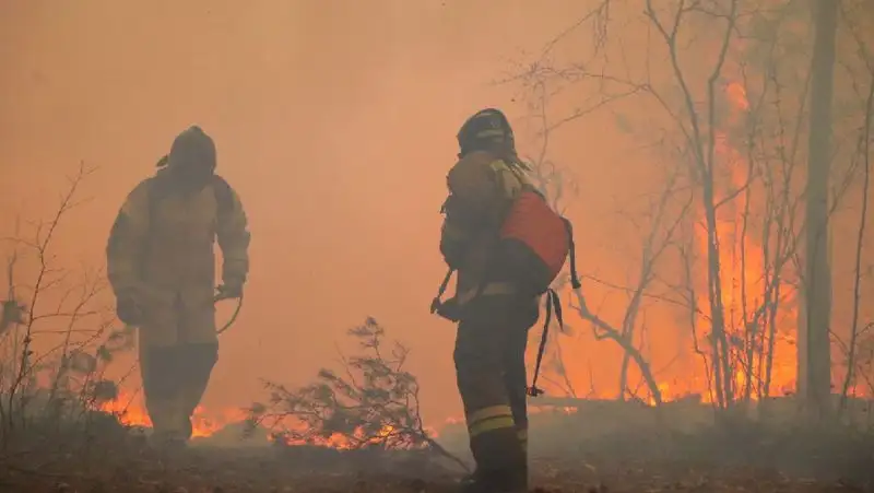 Режим ЧС ввели в Красноярском крае РФ из-за пожаров