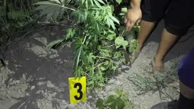 Zakon.kz, фото - Новости Zakon.kz от 11.08.2016 23:16