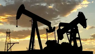 Zakon.kz, фото - Новости Zakon.kz от 04.02.2016 18:14