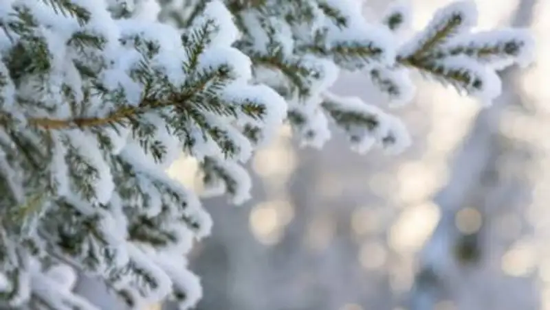 Какая погода будет в феврале в Казахстане