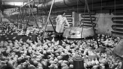 Zakon.kz, фото - Новости Zakon.kz от 05.10.2017 17:32