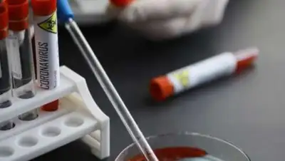 24kz, фото - Новости Zakon.kz от 07.04.2020 08:37