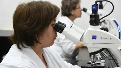 zakon.kz, фото - Новости Zakon.kz от 15.06.2018 19:34