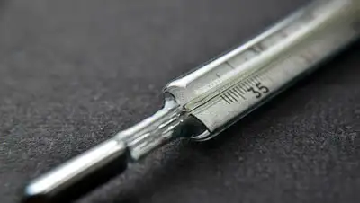 rosbalt, фото - Новости Zakon.kz от 25.03.2020 07:48