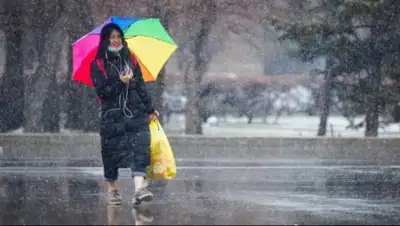 Zakon.kz, фото - Новости Zakon.kz от 01.03.2019 13:59