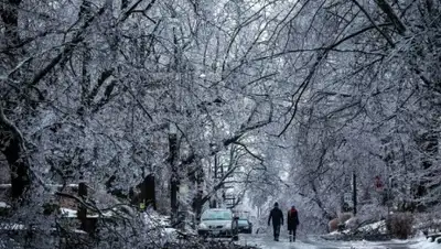 Zakon.kz, фото - Новости Zakon.kz от 25.02.2016 14:02