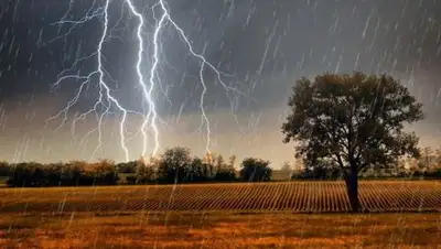 Укринформ, фото - Новости Zakon.kz от 13.07.2018 09:32