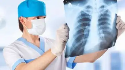 365news.biz, фото - Новости Zakon.kz от 04.07.2021 09:19