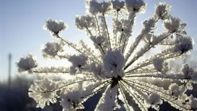 Zakon.kz, фото - Новости Zakon.kz от 26.12.2016 12:00