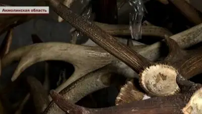 Zakon.kz, фото - Новости Zakon.kz от 10.03.2016 04:06