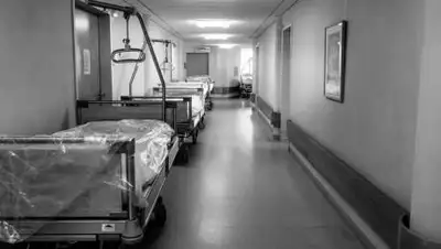 unsplash.com, фото - Новости Zakon.kz от 09.07.2021 09:29