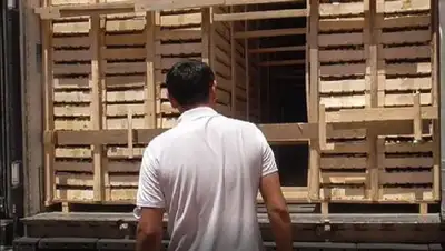 пресечена попытка ввоза нелегальных нектаринов, фото - Новости Zakon.kz от 30.06.2022 17:50