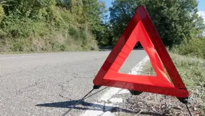 pxhere.com, фото - Новости Zakon.kz от 08.08.2021 16:30