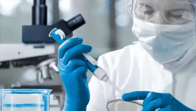 tgchannels.org, фото - Новости Zakon.kz от 24.04.2019 21:53