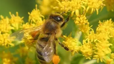 Zakon.kz, фото - Новости Zakon.kz от 22.02.2016 16:04