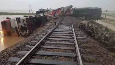 © Twitter/Бачка‏, фото - Новости Zakon.kz от 12.08.2018 11:59