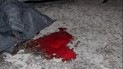 zakon.kz, фото - Новости Zakon.kz от 11.04.2018 15:54